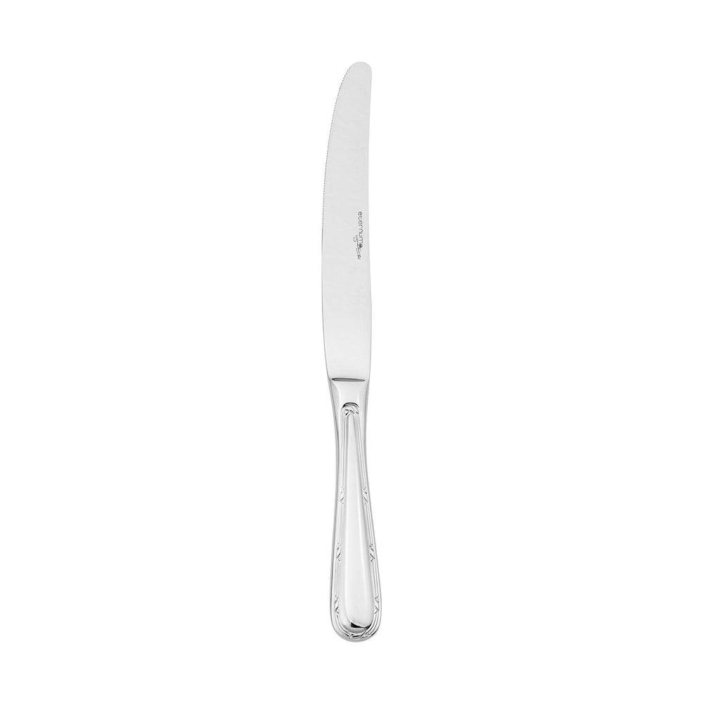 Ruban 9.75" Silver Stainless Steel Dinner Knife Mono 18/10