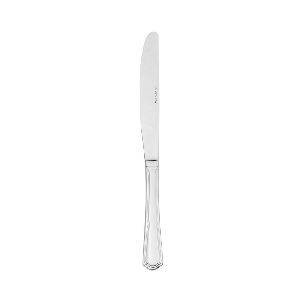 Ingres 9.25" Silver Stainless Steel Dinner Knife Mono 18/0