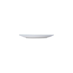 Artemis dia.9.75" Round Decorated Vitrified Plate