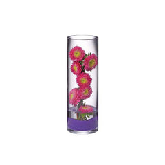 Senses dia.4" h:12" Round Clear Glass Vase