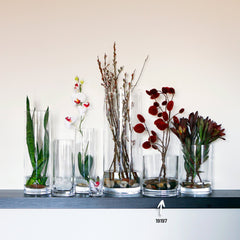 Senses dia.6" h:7" Round Clear Glass Bowl