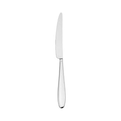 Anzo 9.25"  Silver Stainless Steel Dinner Knife Mono 18/10